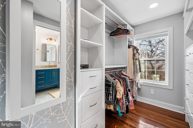 walk in closet featuring dark hardwood / wood-style flooring and sink