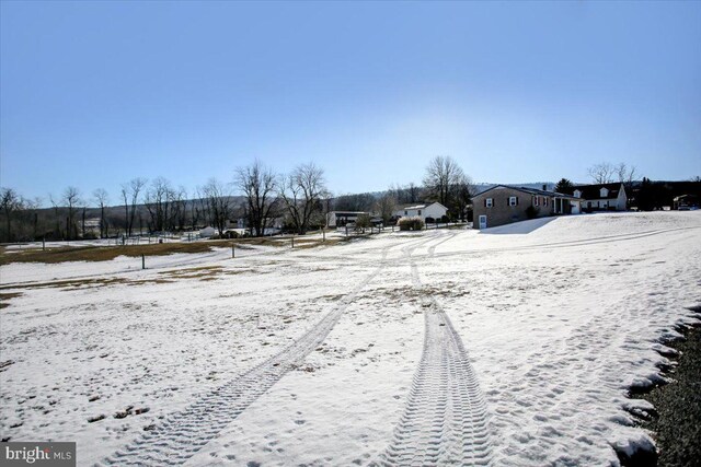 view of yard covered in snow