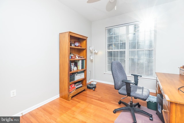 office space featuring ceiling fan and light hardwood / wood-style flooring