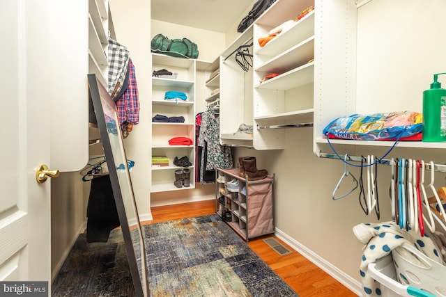 walk in closet with wood-type flooring