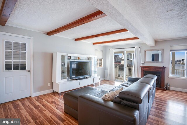 1427 Paul Blvd, Manahawkin, NJ 08050 - living area with beamed ceiling, a textured ceiling, and wood finished floors