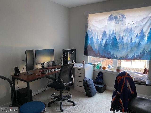 office space featuring light colored carpet