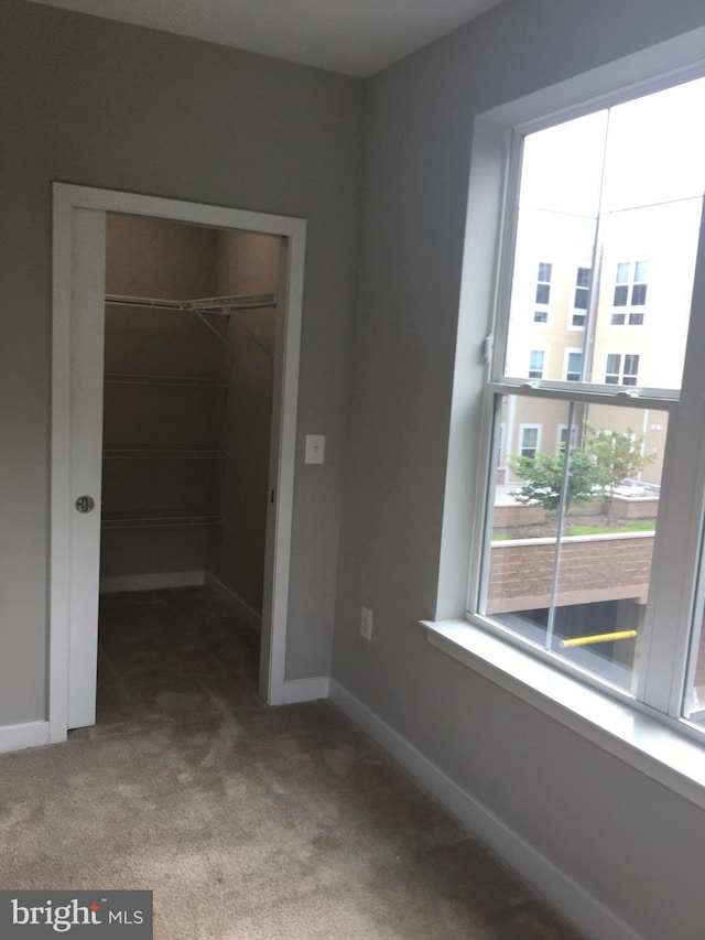 unfurnished bedroom with a closet, a spacious closet, and carpet