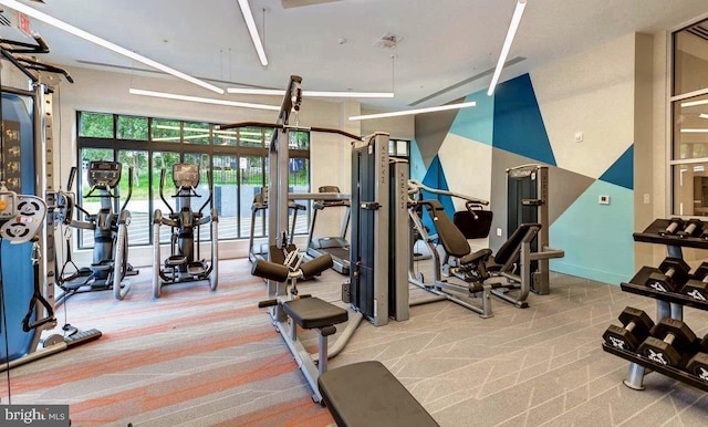 exercise room with a towering ceiling and light carpet