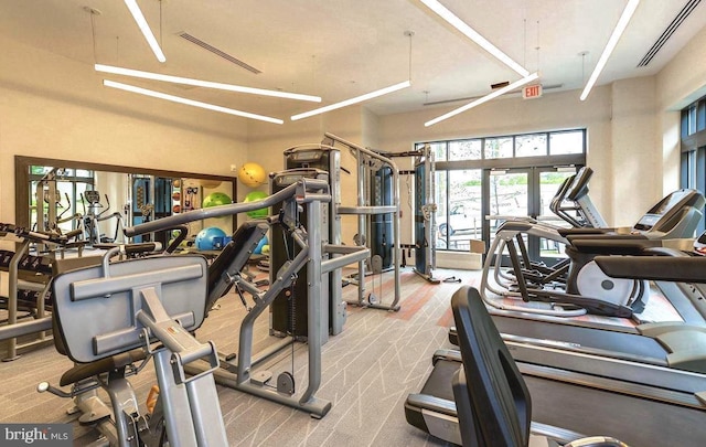 gym with light carpet