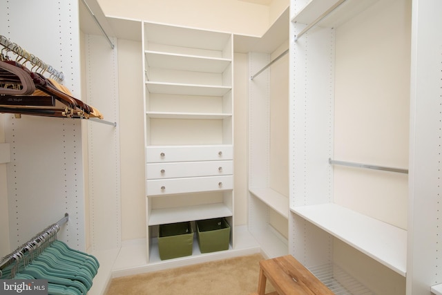 spacious closet with light carpet