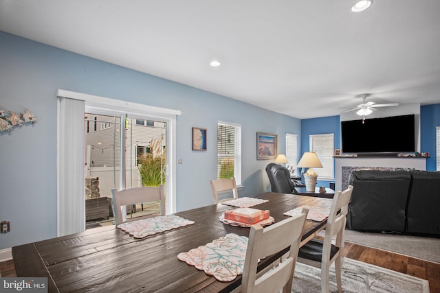 dining area with ceiling fan and hardwood / wood-style flooring