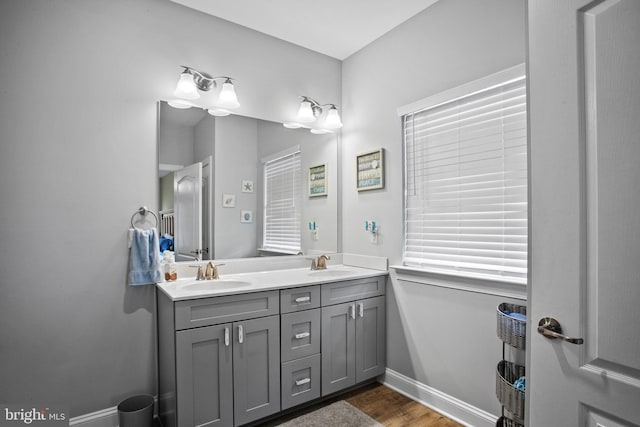 bathroom with vanity and wood-type flooring