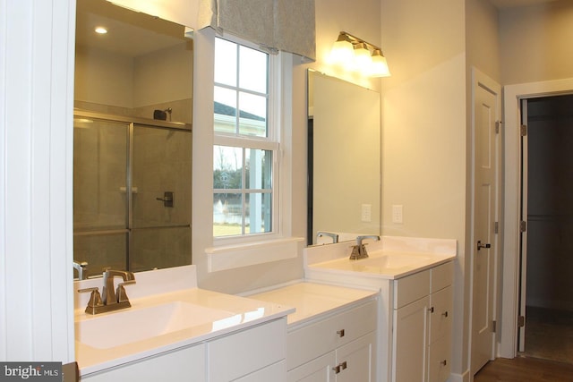 bathroom featuring vanity, a healthy amount of sunlight, and a shower with shower door