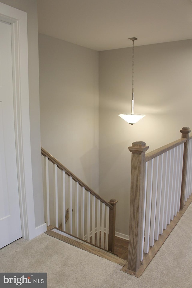 stairway featuring carpet flooring