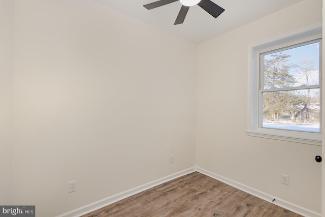 empty room featuring wood-type flooring, ceiling fan, and a healthy amount of sunlight