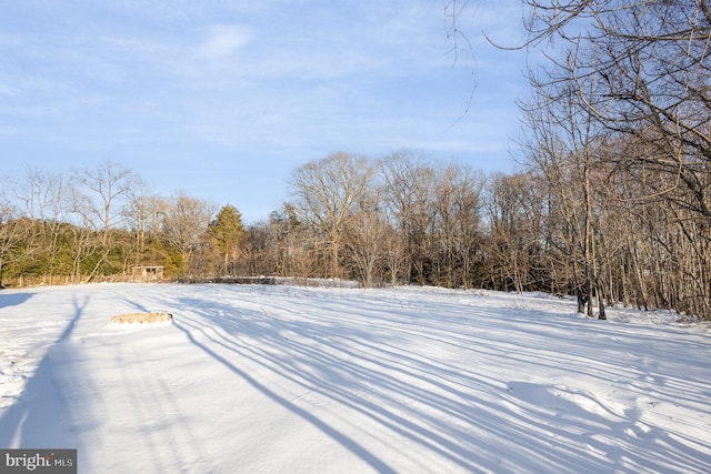 view of yard covered in snow