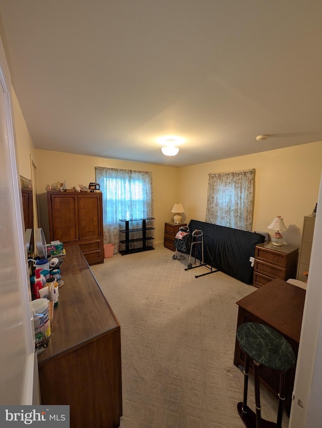 bedroom with light colored carpet