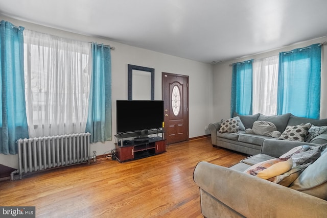 living room with plenty of natural light, light hardwood / wood-style floors, and radiator heating unit