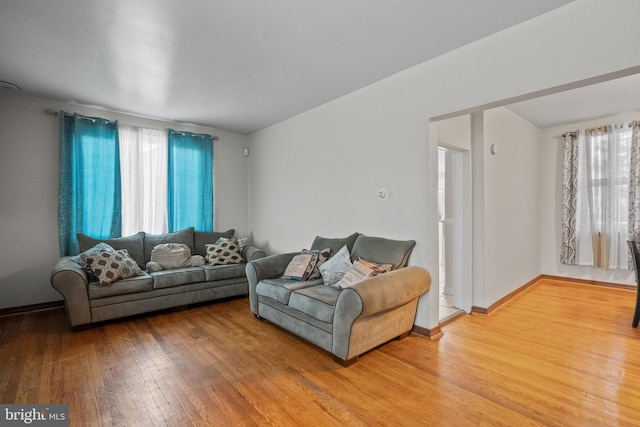 living room featuring wood-type flooring