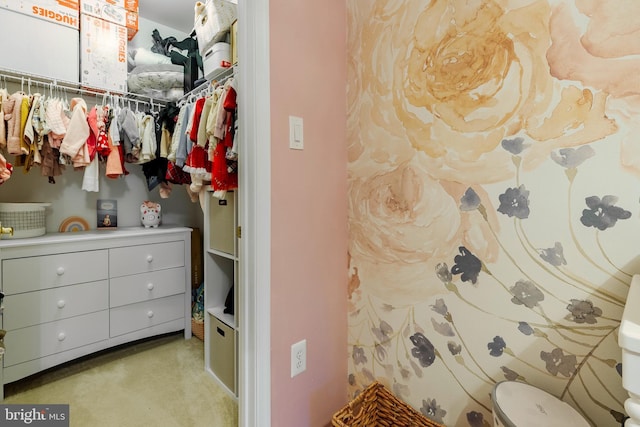 walk in closet with light colored carpet