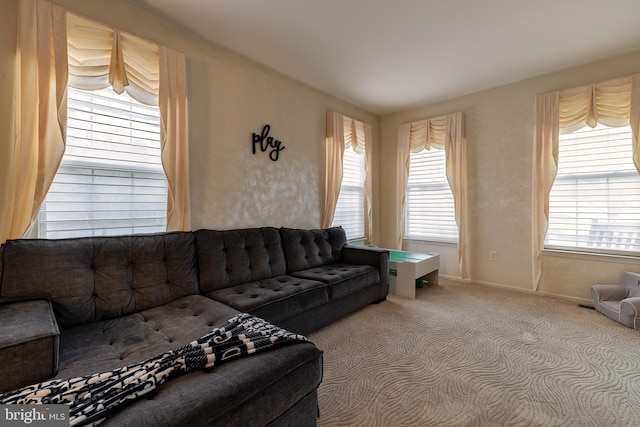 living room featuring carpet flooring