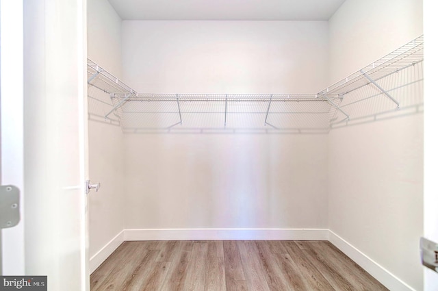 spacious closet featuring hardwood / wood-style flooring