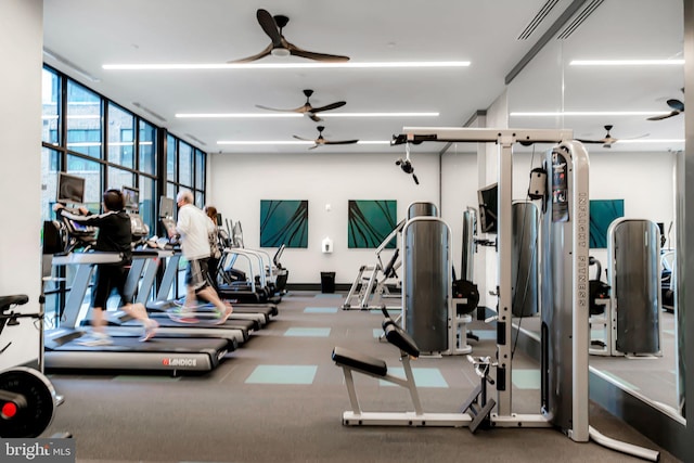 gym featuring ceiling fan and expansive windows