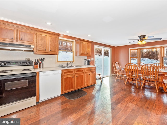 kitchen featuring ceiling fan, sink, dark wood-type flooring, white appliances, and ornamental molding