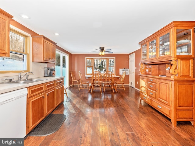 kitchen with ceiling fan, sink, dark hardwood / wood-style floors, white dishwasher, and ornamental molding