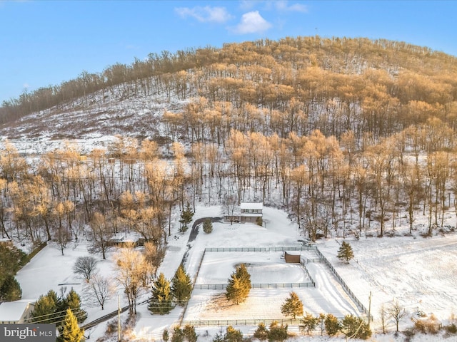 view of snowy aerial view