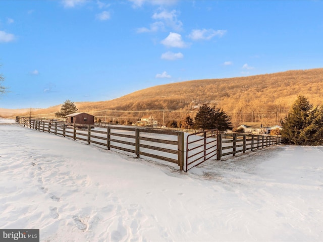 view of yard with a mountain view and a rural view