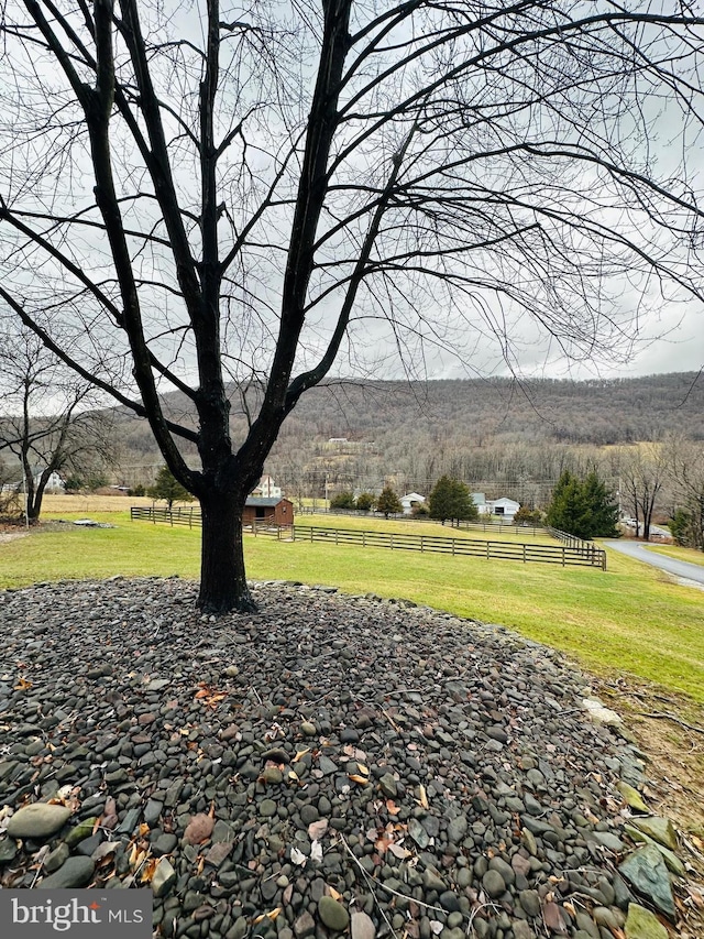 view of yard featuring a rural view