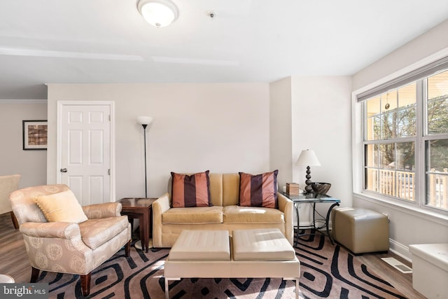 living room featuring hardwood / wood-style floors