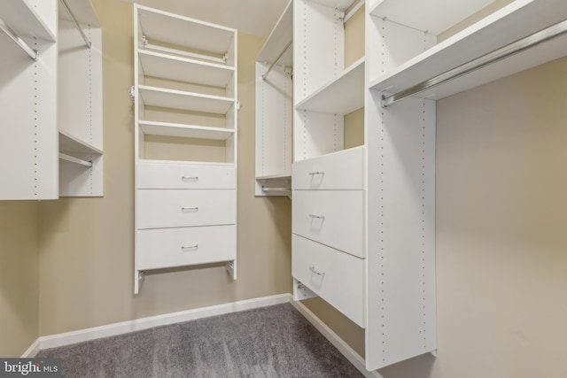 spacious closet with carpet floors