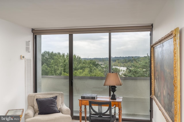 sitting room featuring a wealth of natural light