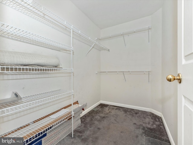 spacious closet with dark carpet