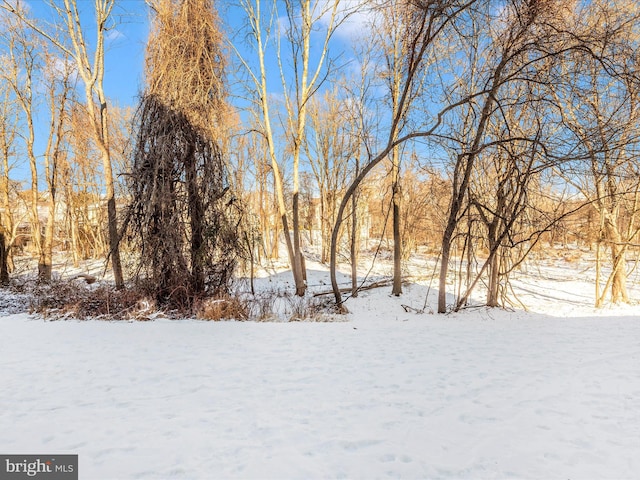 view of yard covered in snow