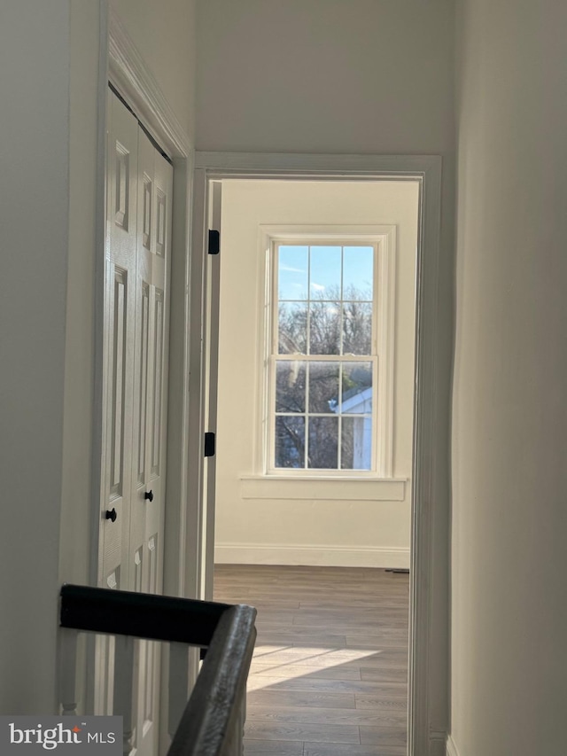 corridor with hardwood / wood-style flooring