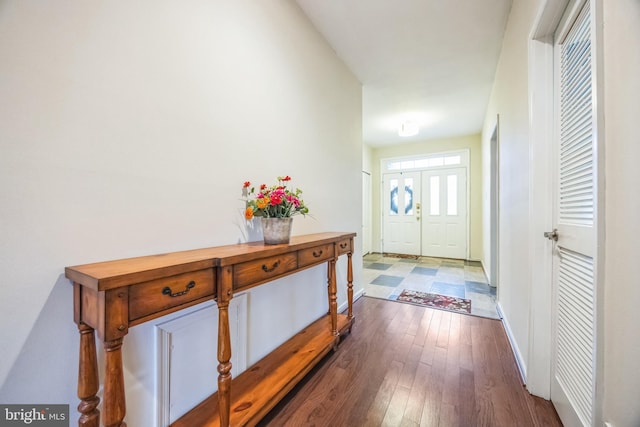 foyer entrance with wood-type flooring