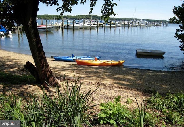 view of water feature with a dock