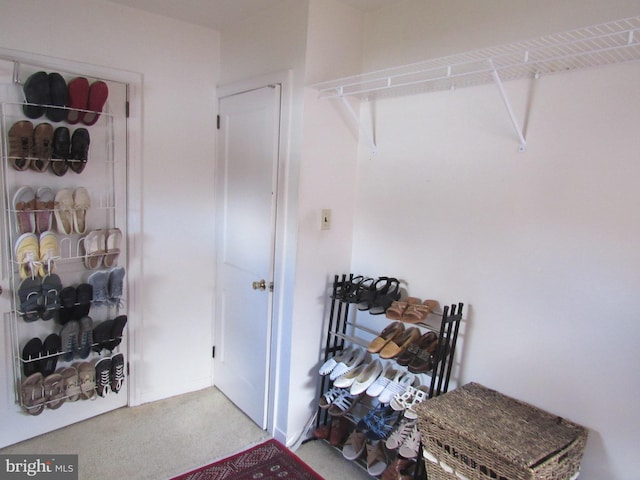 spacious closet with carpet flooring