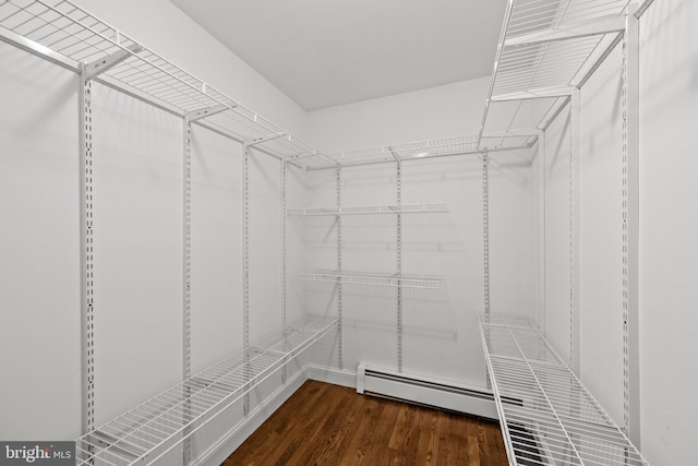 walk in closet featuring dark hardwood / wood-style floors and baseboard heating