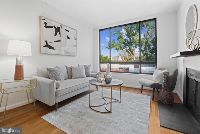 living room with hardwood / wood-style flooring and ornamental molding