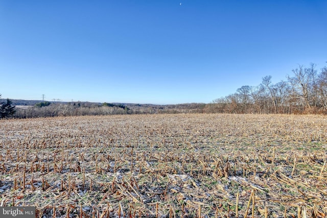 view of local wilderness with a rural view