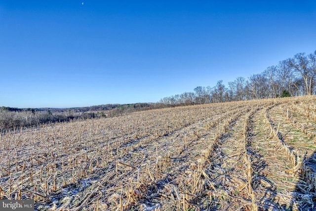 view of nature with a rural view