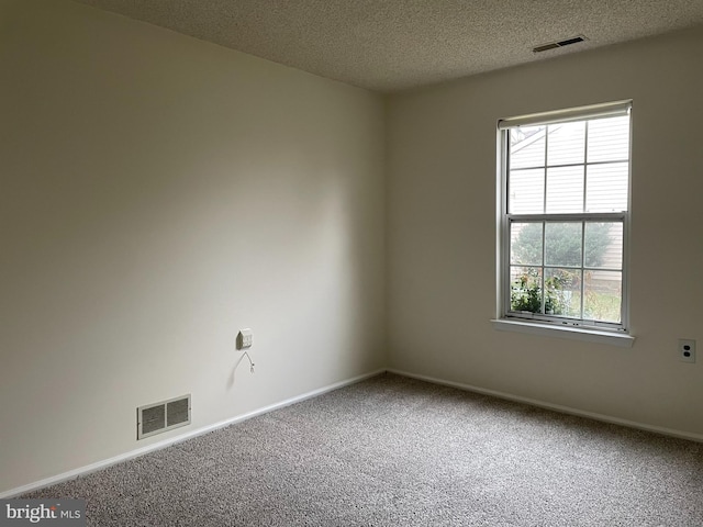 carpeted spare room with a healthy amount of sunlight and a textured ceiling