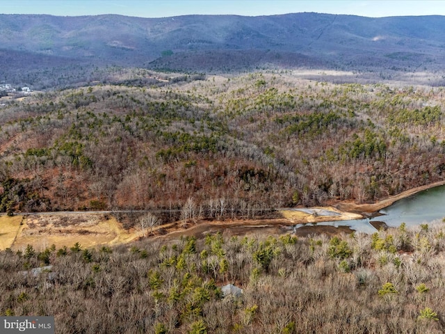 property view of mountains with a water view