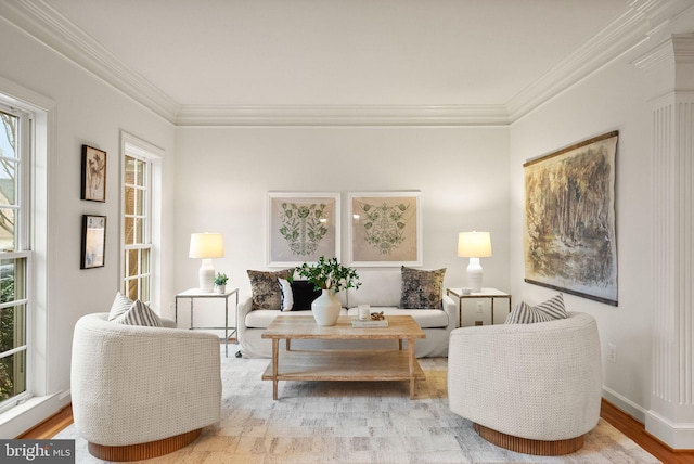 living area featuring ornamental molding and light wood-type flooring