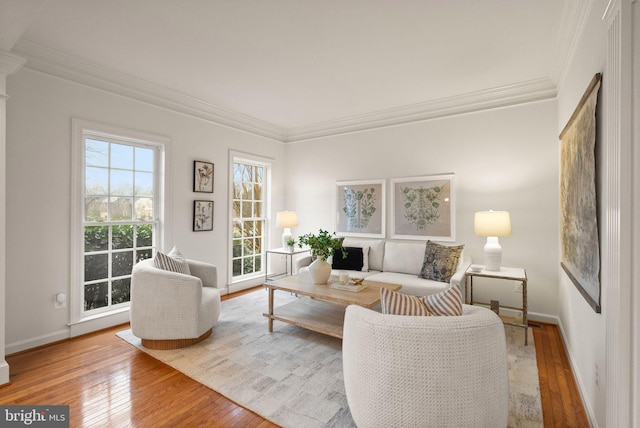 living room featuring hardwood / wood-style flooring and ornamental molding