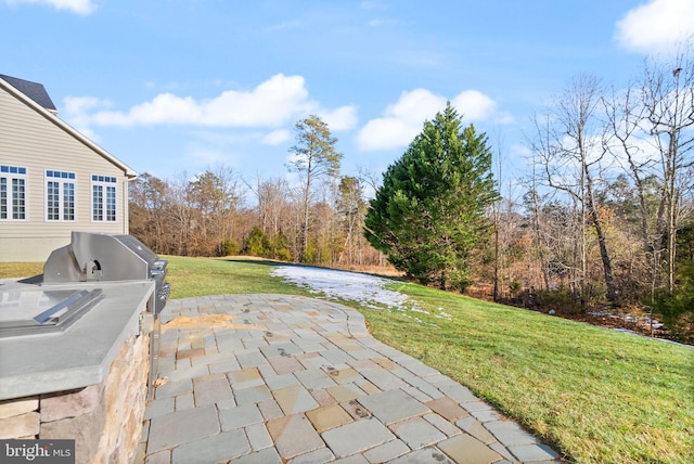 view of patio / terrace featuring exterior kitchen