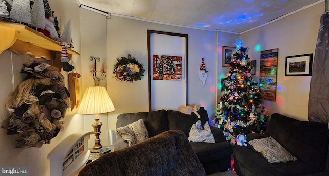 living room with crown molding