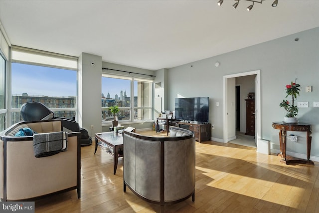 living room featuring light hardwood / wood-style flooring