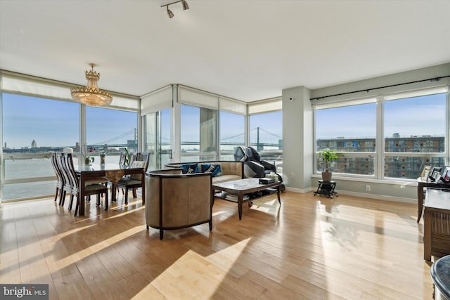 living room featuring light hardwood / wood-style flooring and a water view