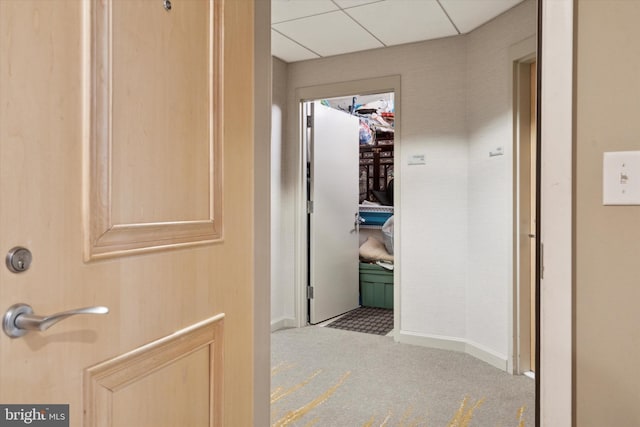 hall featuring a drop ceiling and light carpet